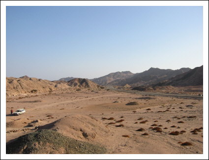 Kopie von 110-1098_IMG