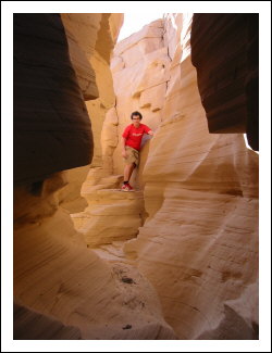 Kopie von 110-1095_IMG